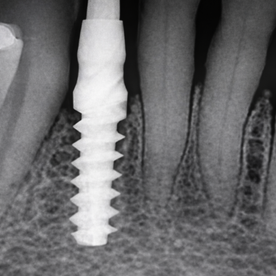 ChatGPT Image Feb 11, 2026, 02_44_30 PM